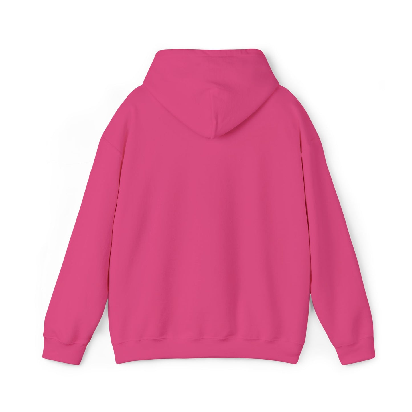 Hooded Sweatshirt with Embroidery