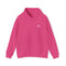 Hooded Sweatshirt with Embroidery
