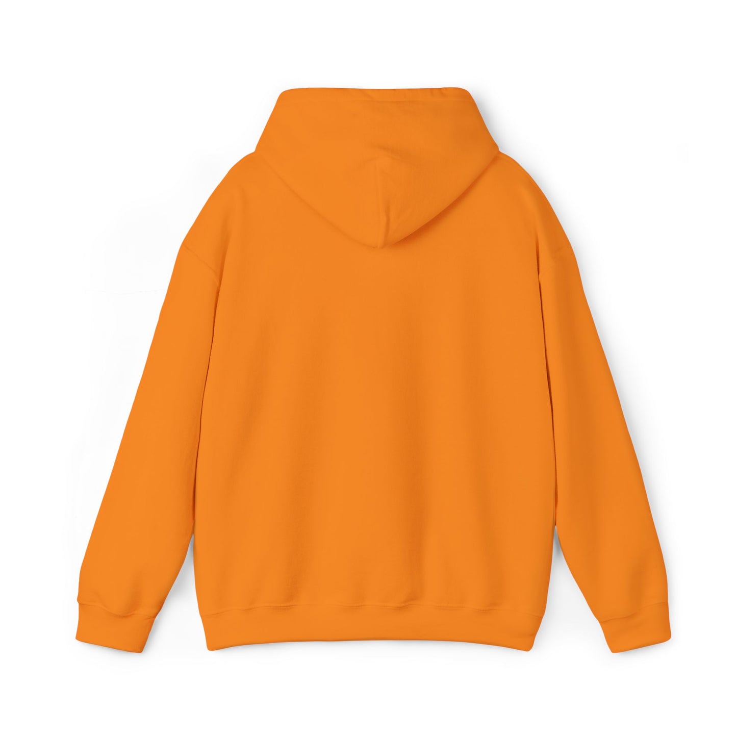 Hooded Sweatshirt with Embroidery