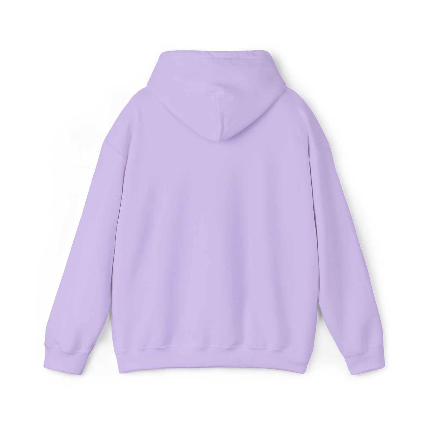 Hooded Sweatshirt with Embroidery