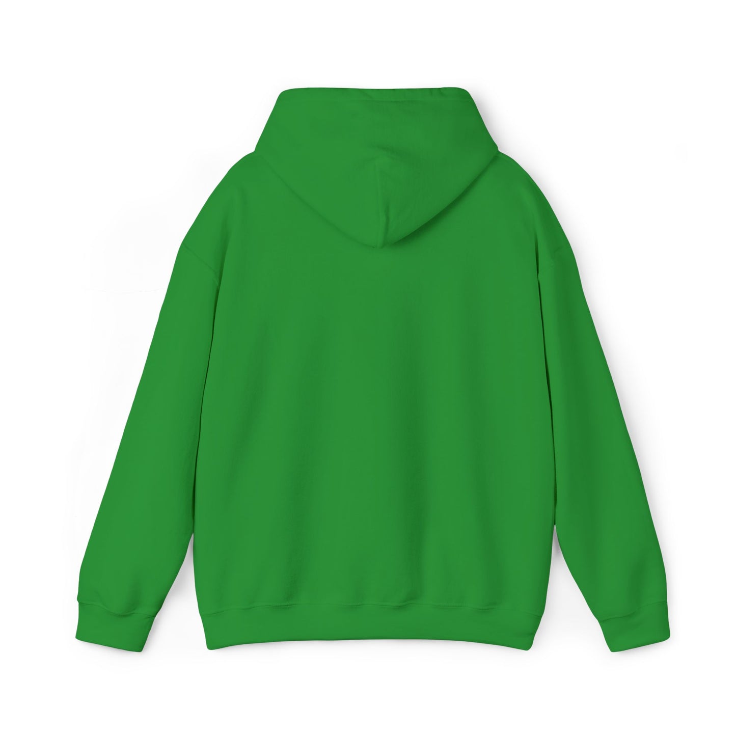 Hooded Sweatshirt with Embroidery