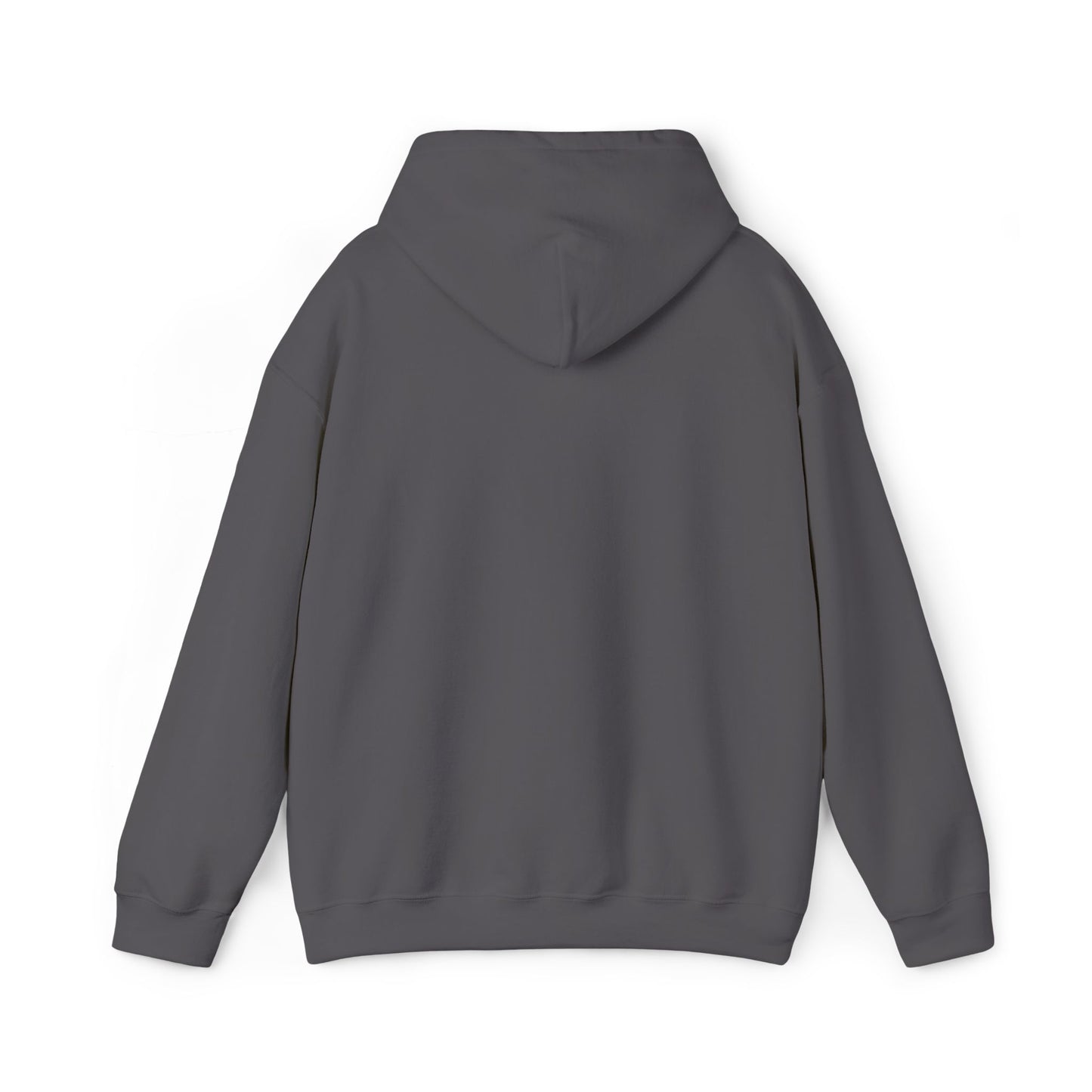 Hooded Sweatshirt with Embroidery