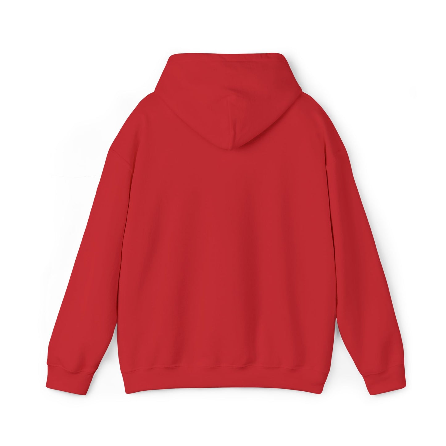 Hooded Sweatshirt with Embroidery