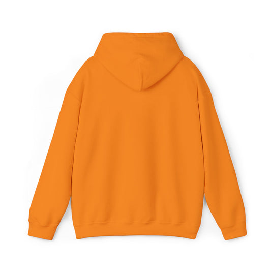 Hooded Sweatshirt with Embroidery