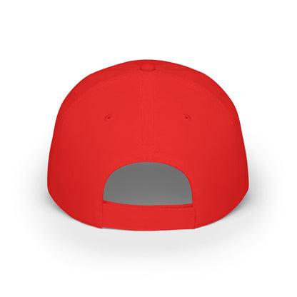 NIA Baseball Cap
