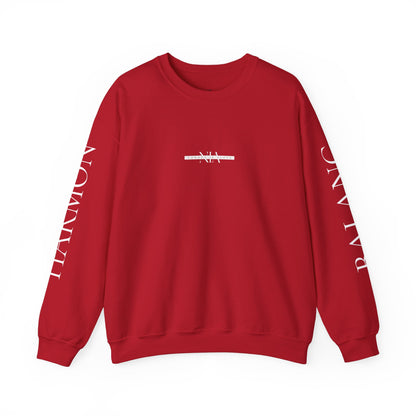 NIA Sweatshirt